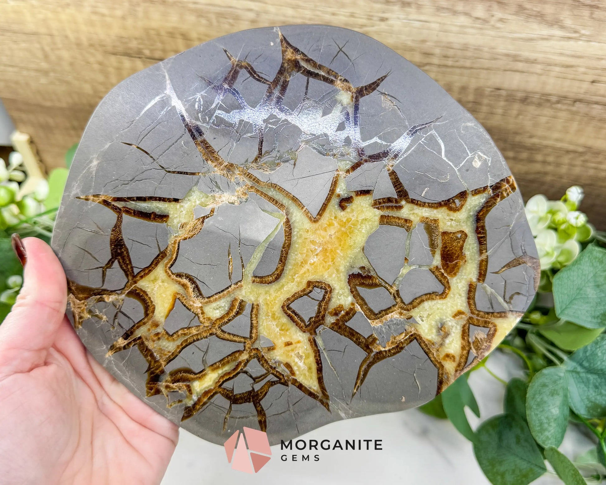 Utah Septarian ’Dragon Stone’ Geode Slice No. 7 (1.5lb) – 8’’ Polished Local Specimen for Grounding & Protection