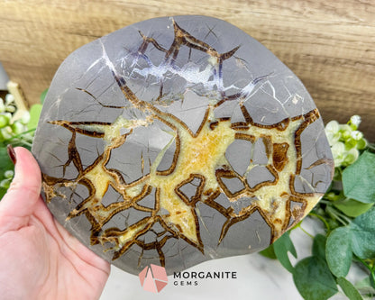 Utah Septarian ’Dragon Stone’ Geode Slice No. 7 (1.5lb) – 8’’ Polished Local Specimen for Grounding & Protection