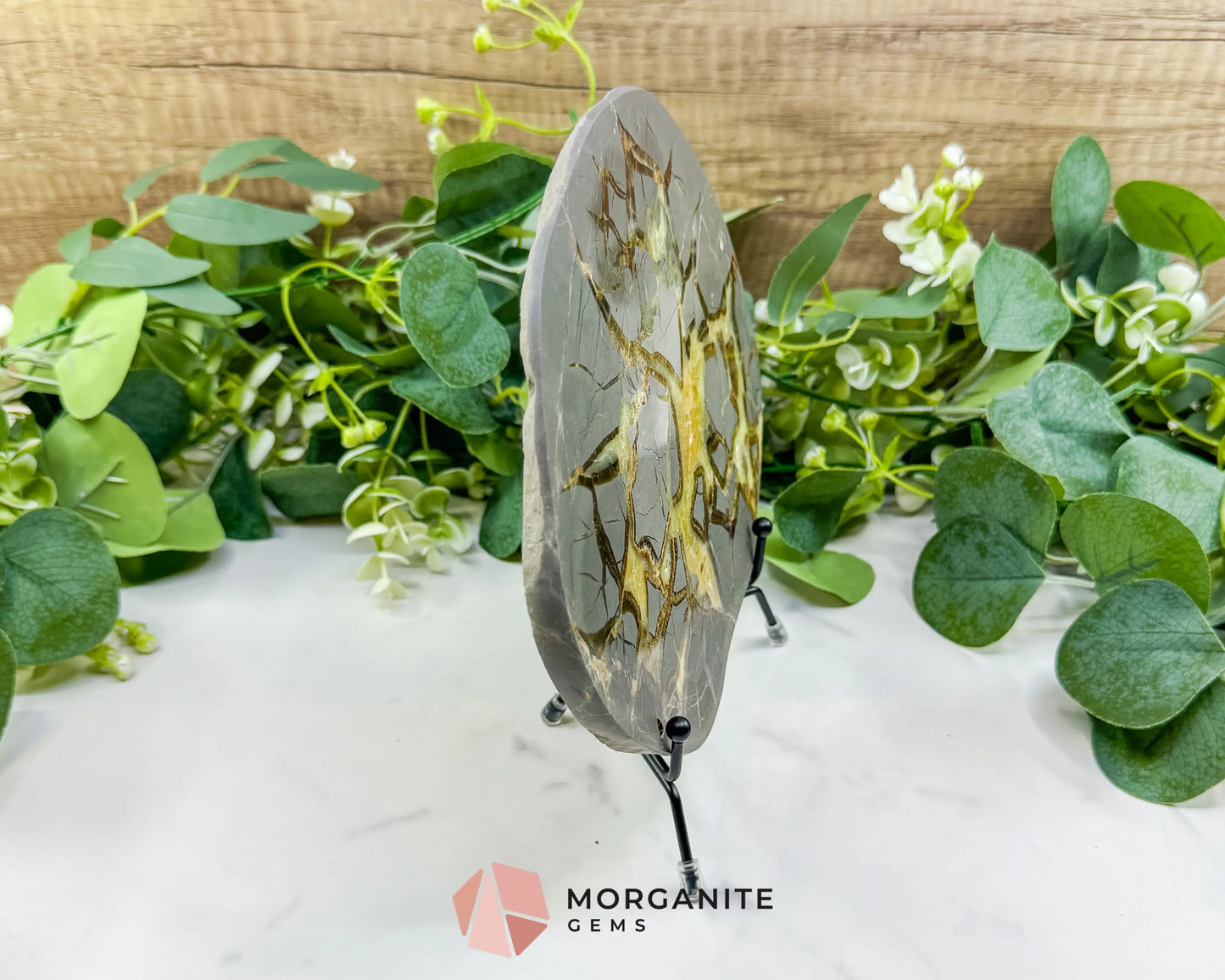 Utah Septarian ’Dragon Stone’ Geode Slice No. 7 (1.5lb) – 8’’ Polished Local Specimen for Grounding & Protection