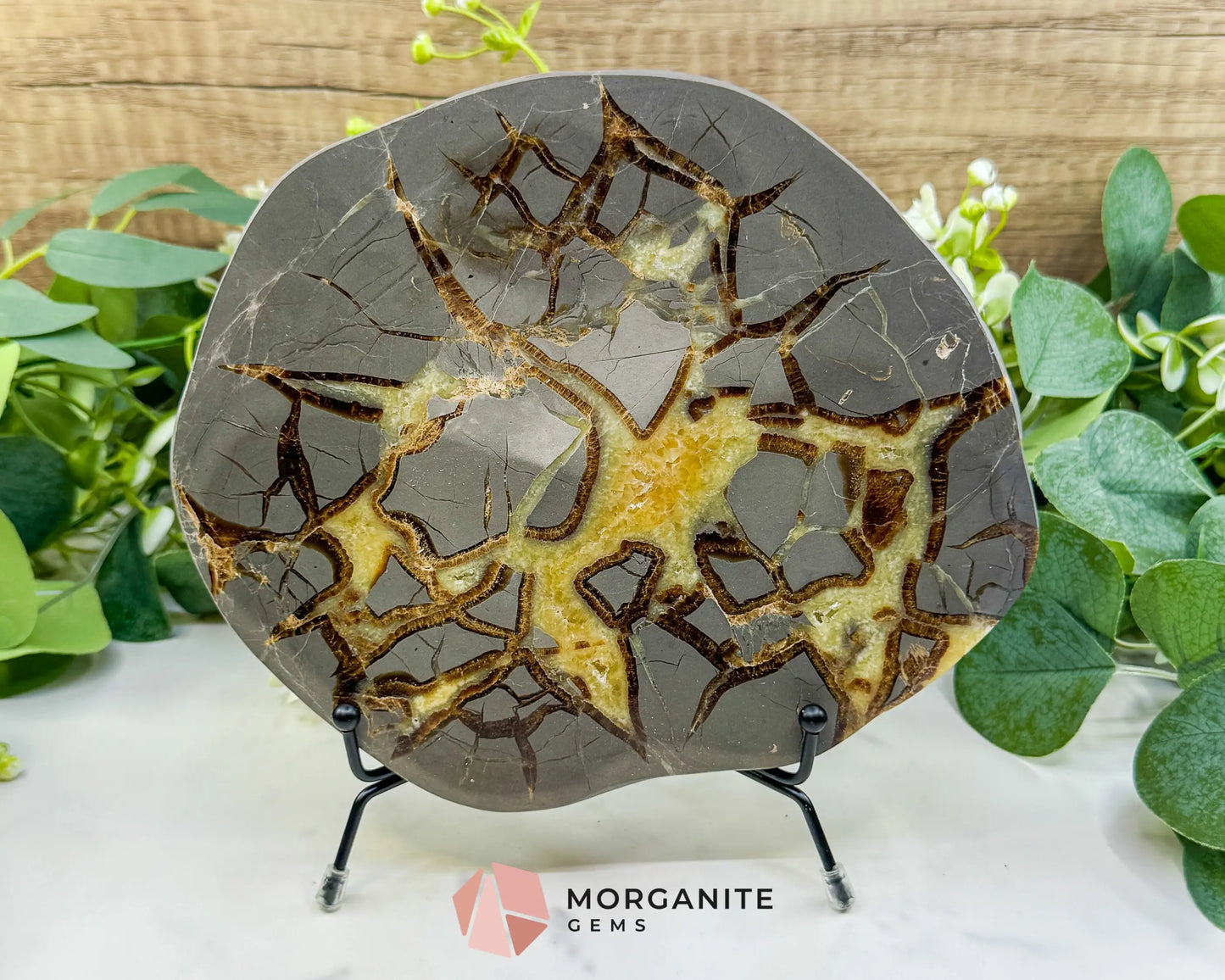 Utah Septarian ’Dragon Stone’ Geode Slice No. 7 (1.5lb) – 8’’ Polished Local Specimen for Grounding & Protection