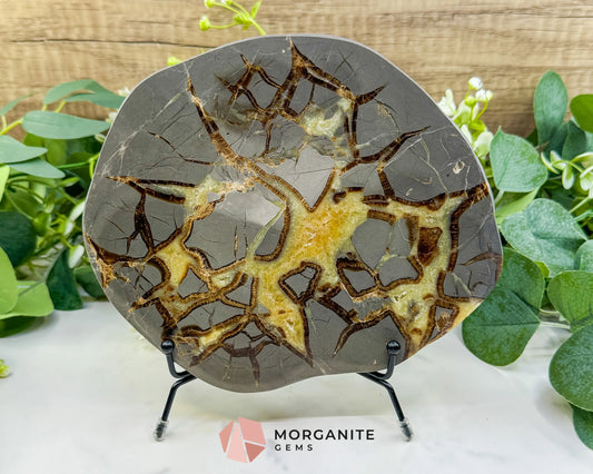 Utah Septarian ’Dragon Stone’ Geode Slice No. 7 (1.5lb) – 8’’ Polished Local Specimen for Grounding & Protection