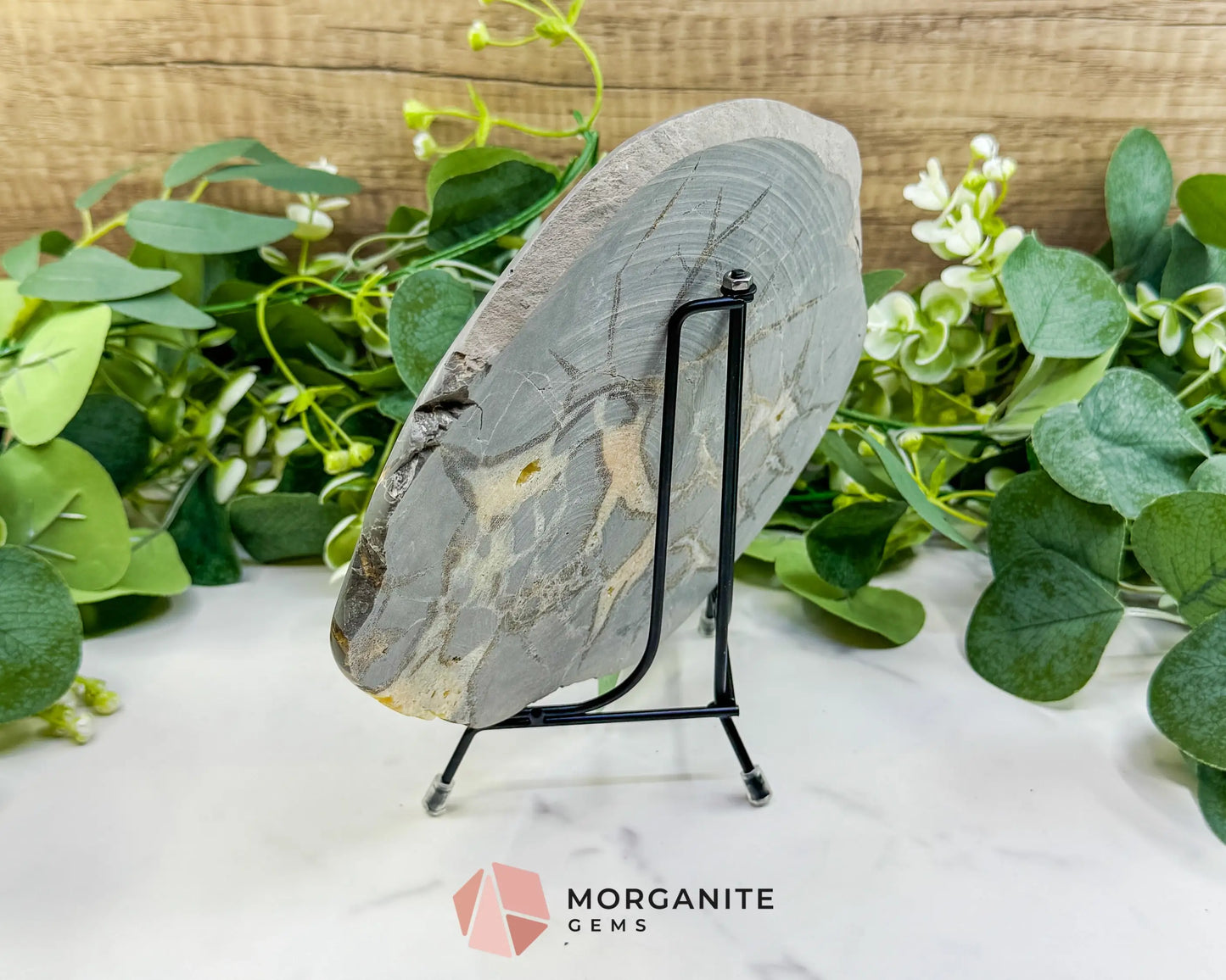 Utah Septarian ’Dragon Stone’ Geode Slice No. 7 (1.5lb) – 8’’ Polished Local Specimen for Grounding & Protection