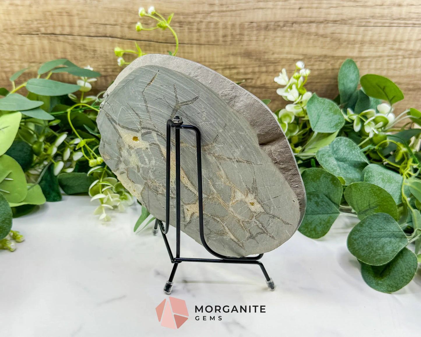 Utah Septarian ’Dragon Stone’ Geode Slice No. 7 (1.5lb) – 8’’ Polished Local Specimen for Grounding & Protection - w/