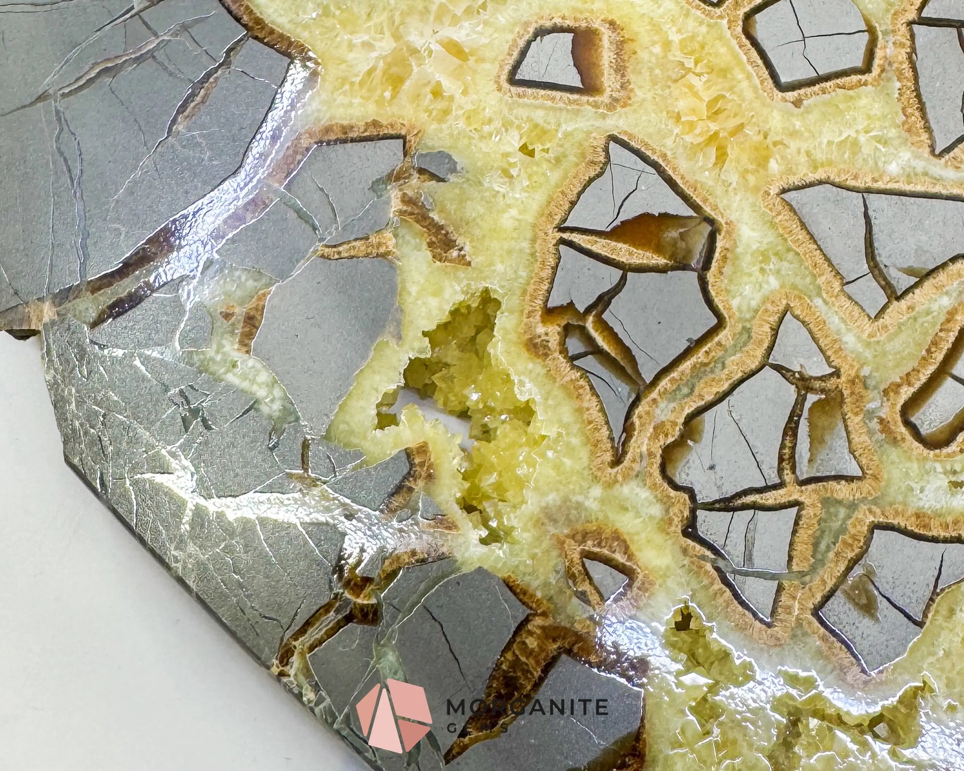 Utah Septarian ’Dragon Stone’ Slice No. 3 (3.75lb) – Massive 11.5’’ Polished Slab with Rare Druzy Pockets