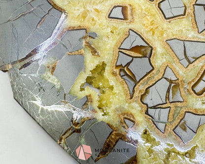 Utah Septarian ’Dragon Stone’ Slice No. 3 (3.75lb) – Massive 11.5’’ Polished Slab with Rare Druzy Pockets