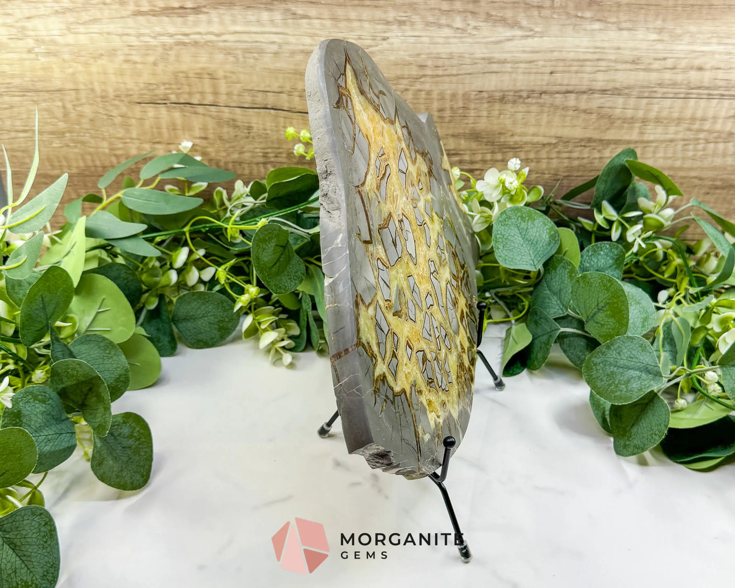 Utah Septarian ’Dragon Stone’ Slice No. 3 (3.75lb) – Massive 11.5’’ Polished Slab with Rare Druzy Pockets