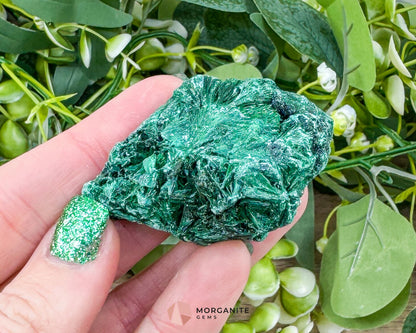 Velvet Malachite Cluster – 58g Natural Crystal for Heart Healing Protection & Transformation - Metaphysical Crystals