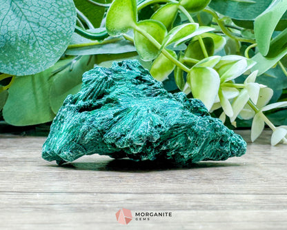 Velvet Malachite Cluster – 58g Natural Crystal for Heart Healing Protection & Transformation - Metaphysical Crystals