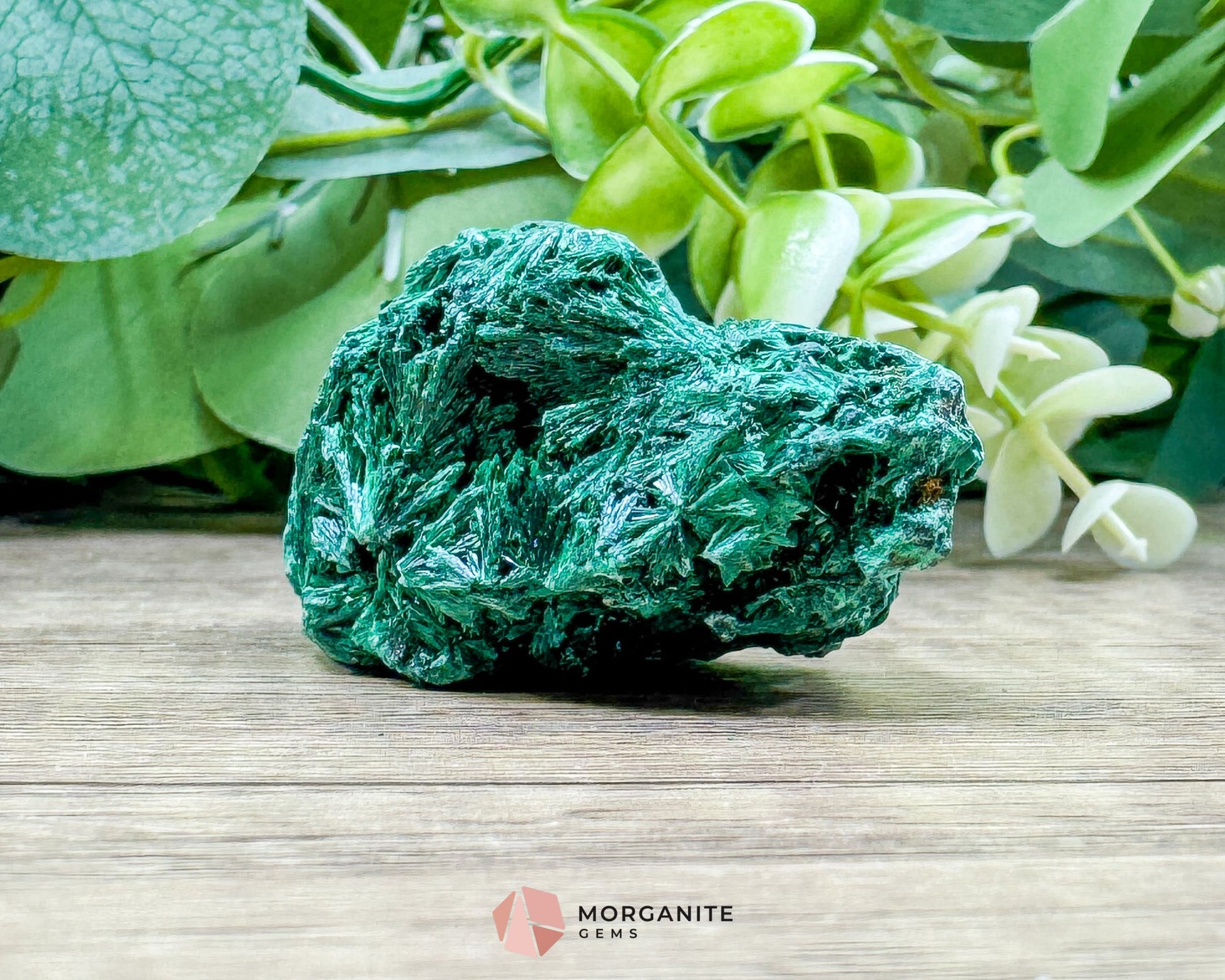 Velvet Malachite Cluster – 66g Natural Crystal for Transformation Heart Healing & Collector Display - Metaphysical