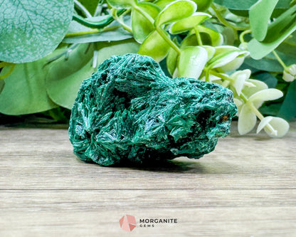 Velvet Malachite Cluster – 66g Natural Crystal for Transformation Heart Healing & Collector Display - Metaphysical