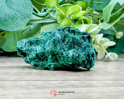 Velvet Malachite Cluster – 66g Natural Crystal for Transformation Heart Healing & Collector Display - Metaphysical