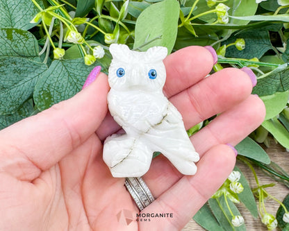 White Soapstone Owl (2”) – Hand-Carved Symbol of Wisdom & Protection - Metaphysical Crystals
