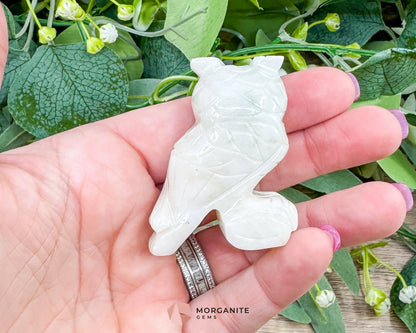 White Soapstone Owl (2”) – Hand-Carved Symbol of Wisdom & Protection - Metaphysical Crystals