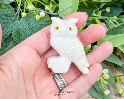 White Soapstone Owl (2”) – Hand-Carved Symbol of Wisdom & Protection - Metaphysical Crystals