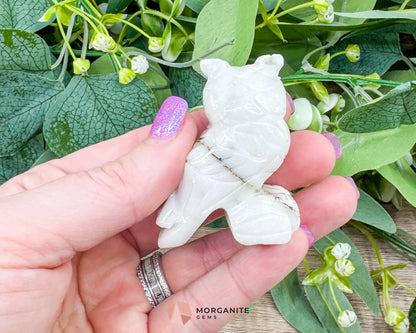 White Soapstone Owl (2”) – Hand-Carved Symbol of Wisdom & Protection - Metaphysical Crystals