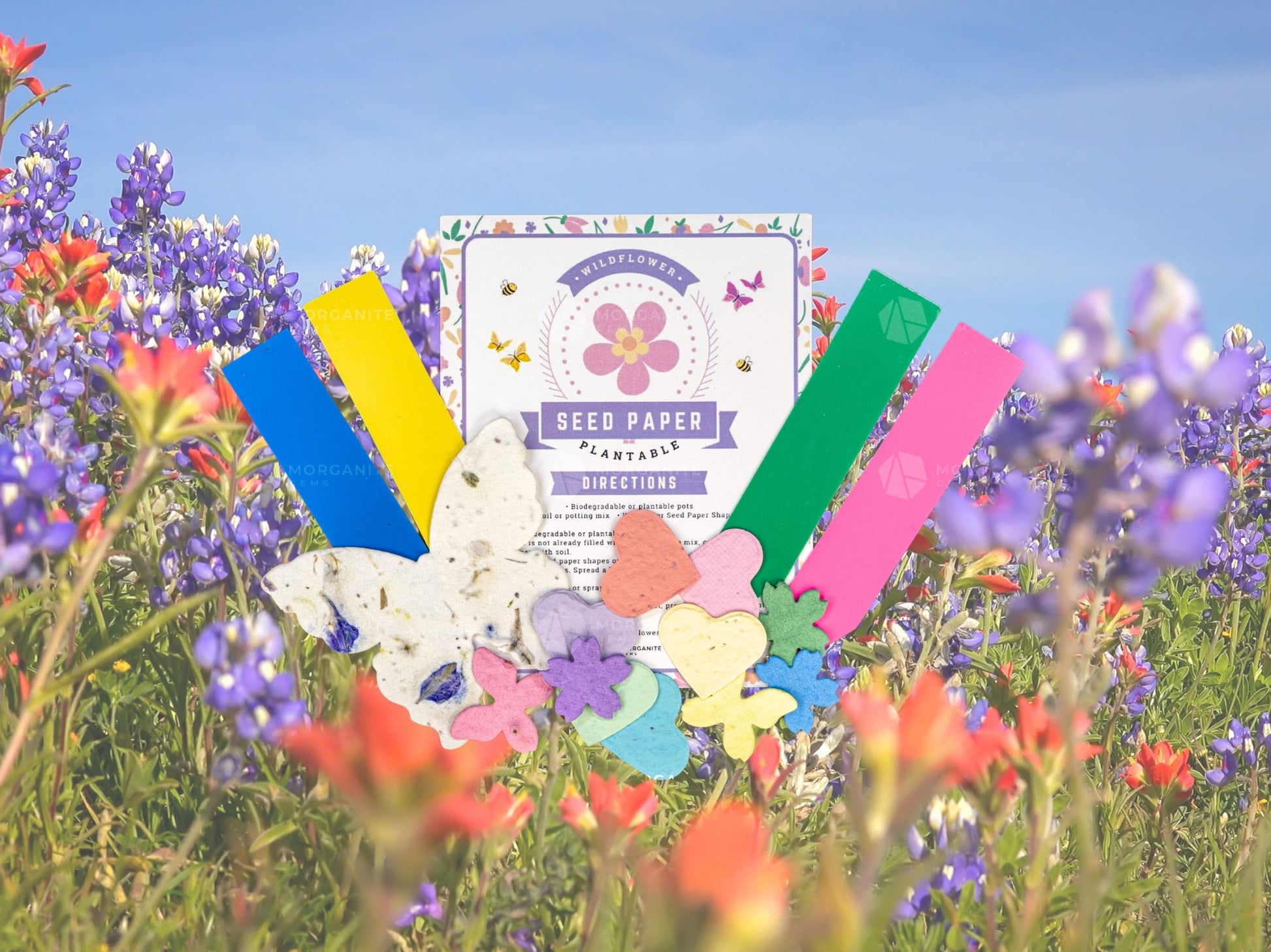 Wildflower Seed Paper Set-Morganite Gems