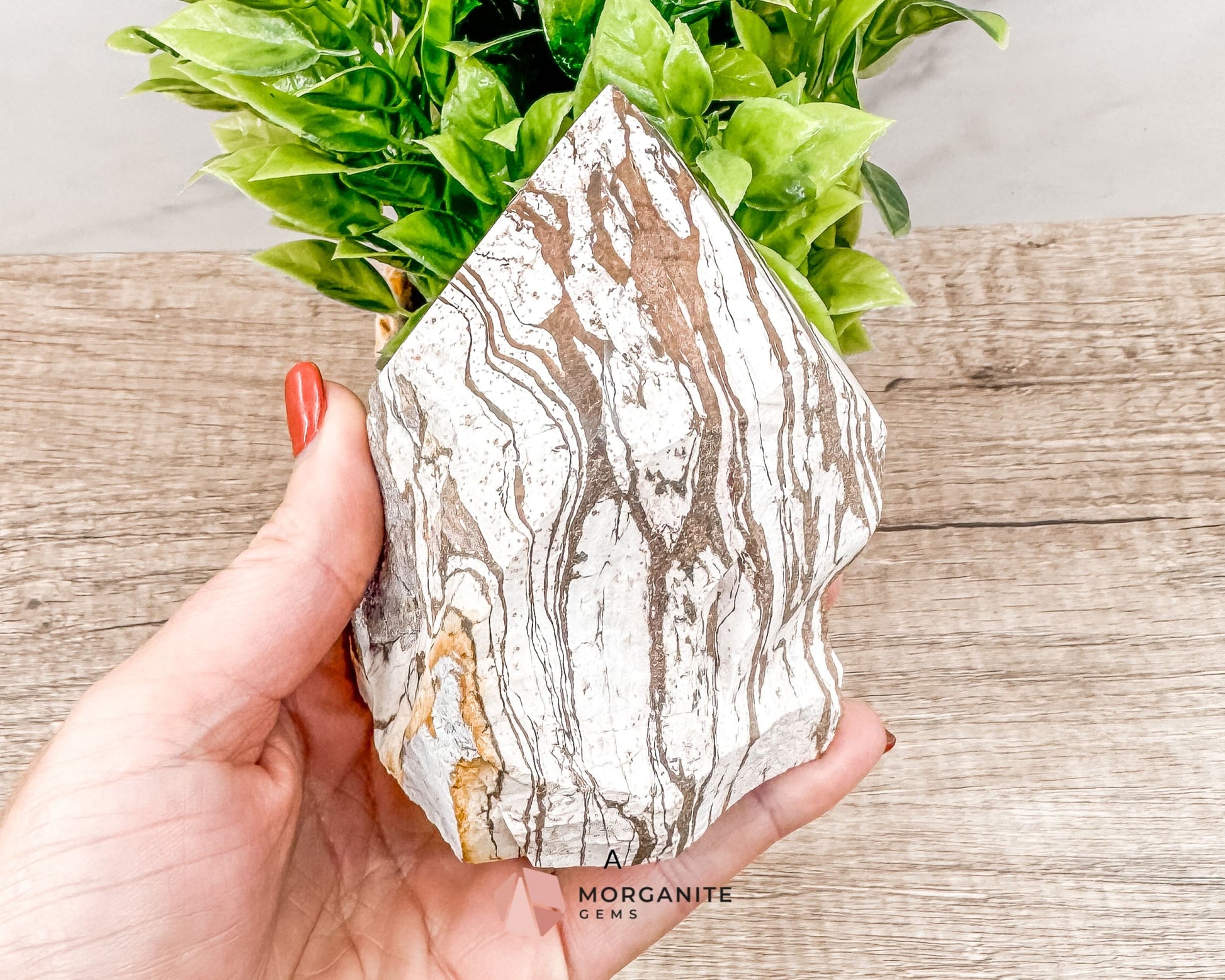 Zebra Jasper Cut Base Point with Polished Top – Grounding and Balancing Crystal for Strength and Protection-Morganite Gems